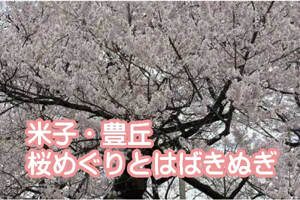 豊丘1本桜めぐりとはばきぬぎ